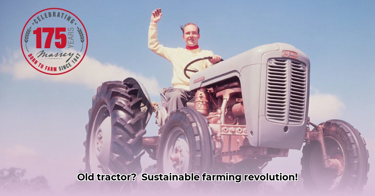 ferguson-old-tractor